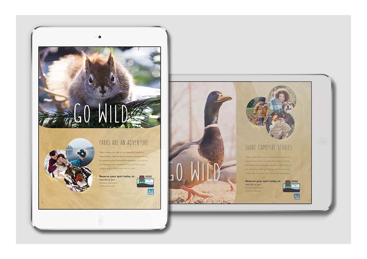 WI DNR responsive tablet advertisement